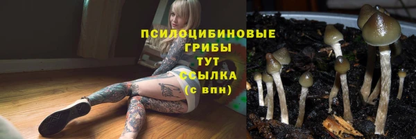 крисы Бронницы