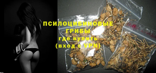 крисы Бронницы