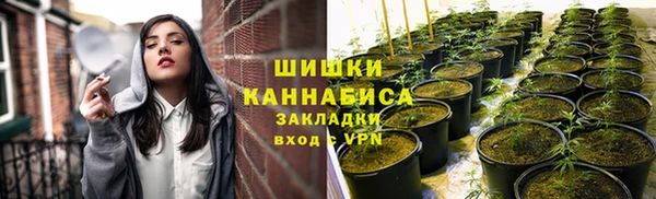 каннабис Бородино